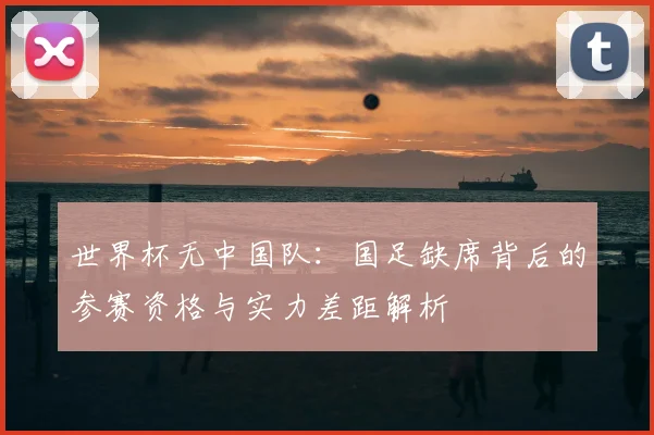 世界杯无中国队：国足缺席背后的参赛资格与实力差距解析