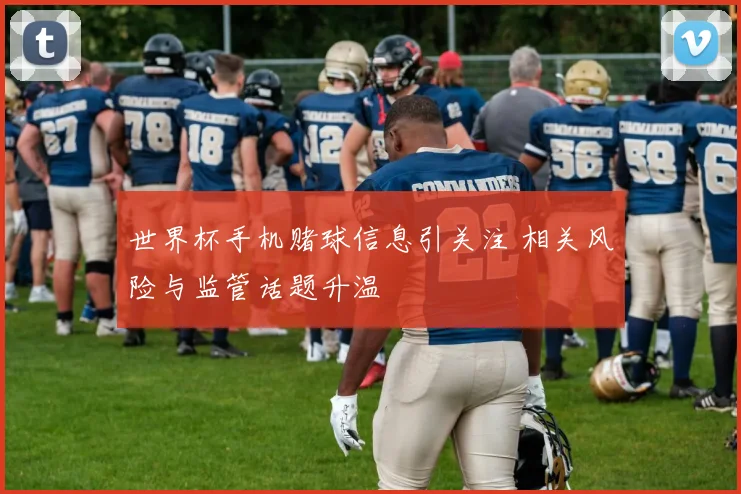 世界杯手机赌球信息引关注 相关风险与监管话题升温