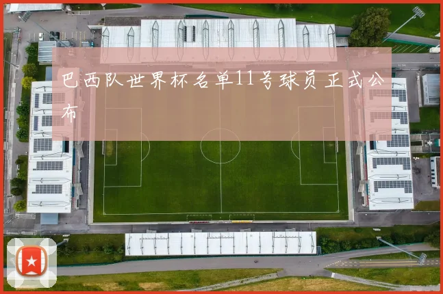 巴西队世界杯名单11号球员正式公布