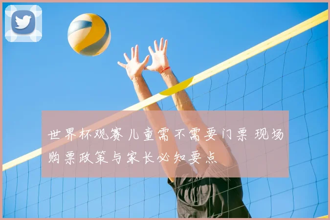 世界杯观赛儿童需不需要门票 现场购票政策与家长必知要点